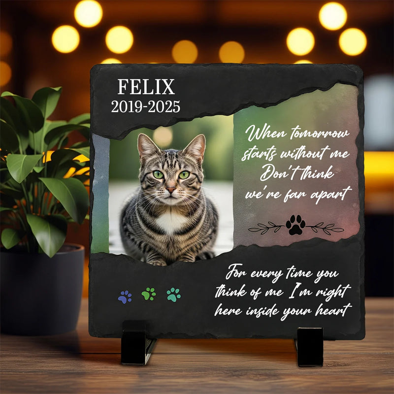 Custom Memorial Garden Stone – When Tomorow Starts Without Me – Personalized Memorial Gifts to Pet Loss image 5